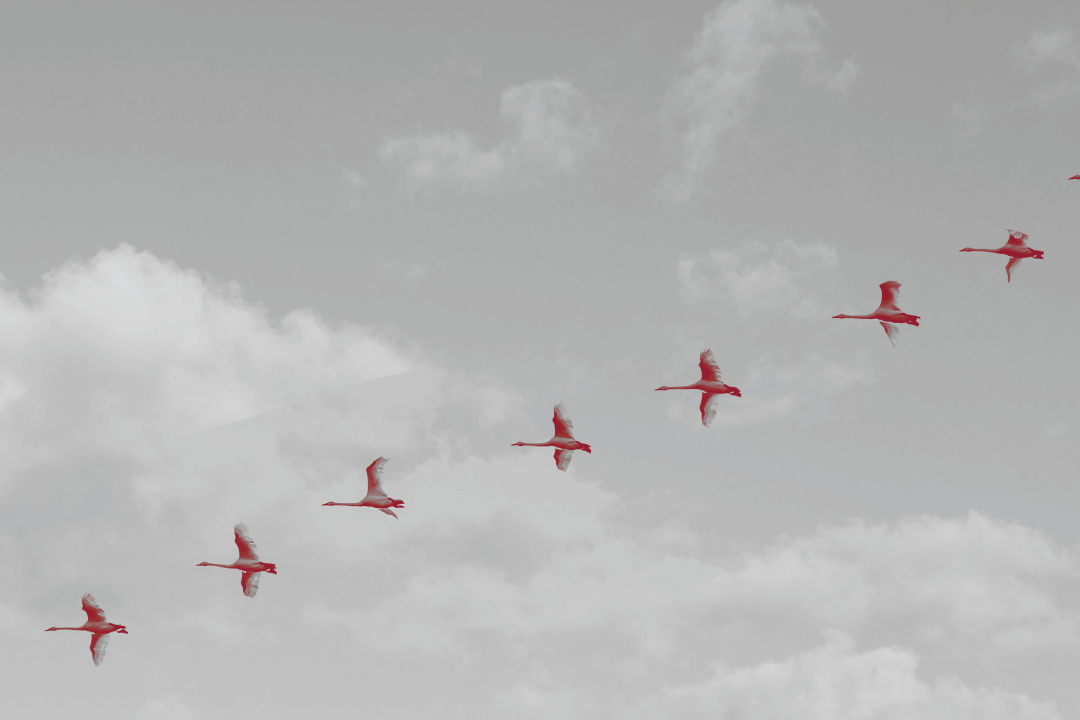 How to leverage recruitment marketing to your brand’s advantage